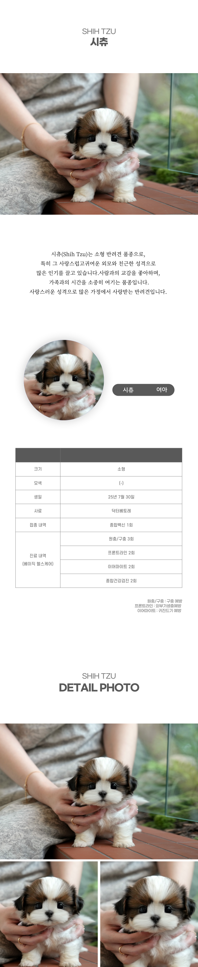 시츄_상세이미지_2